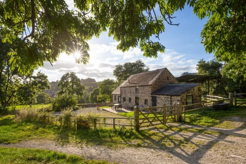 Property building, Garden, Garden view