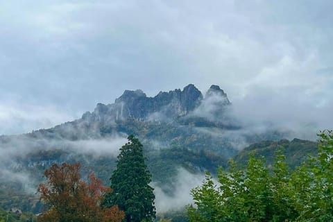 L'Aquarium Apartment in Talloires