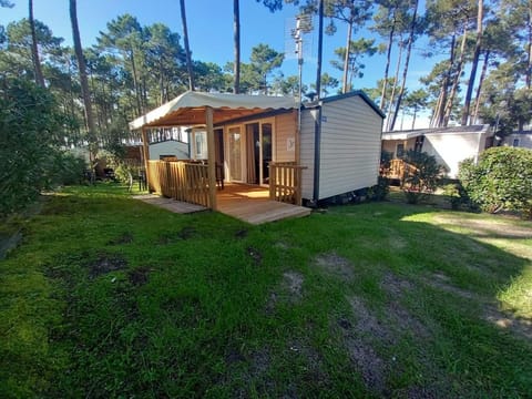 Property building, Garden, Garden view