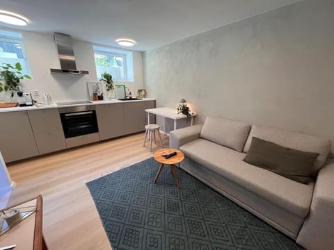 Newly renovated Trondheim apartment Apartment in Trondheim