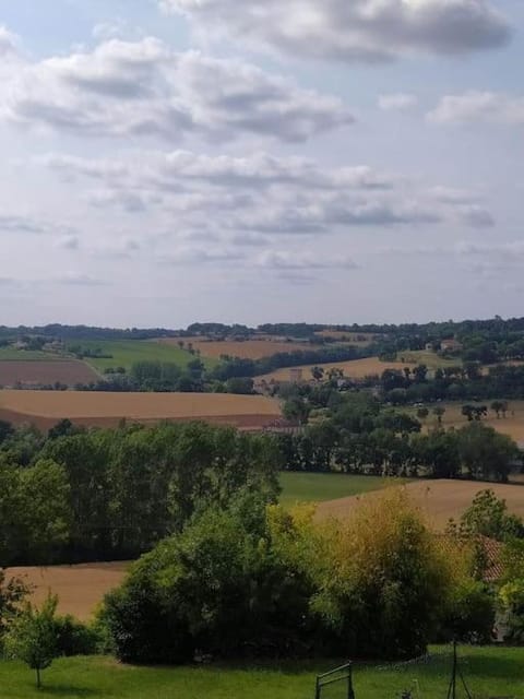 appartement neuf au calme Apartment in Albi