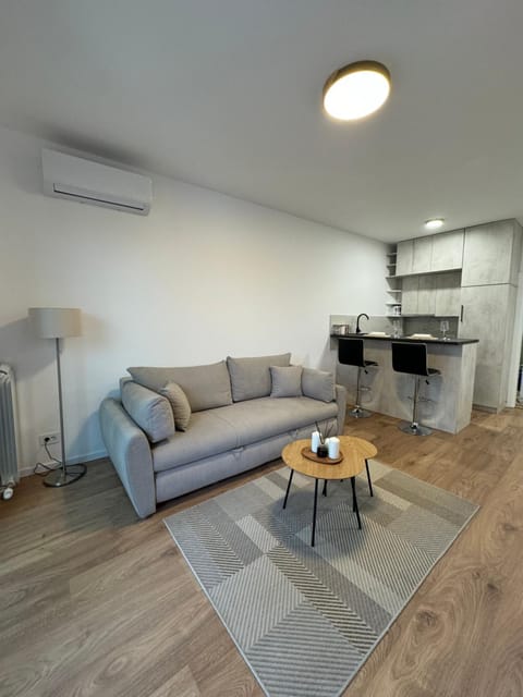 Apartman V park Apartment in Belgrade