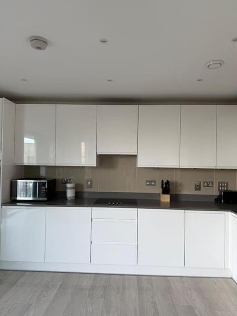 Modern 2 bed flat in Ealing Apartment in London Borough of Ealing