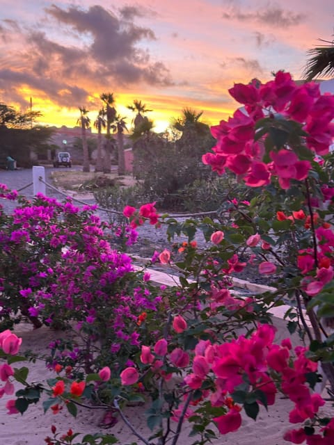 Villa Alfredo Marchetti 13B Villa in Cape Verde