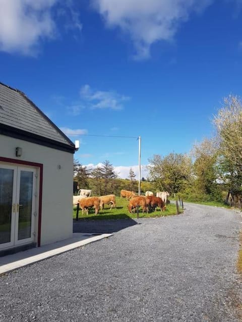 Coher Cottage Cahermacateer ,Kilnaboy, Corofin House in Westmeath, Co. Westmeath, Ireland