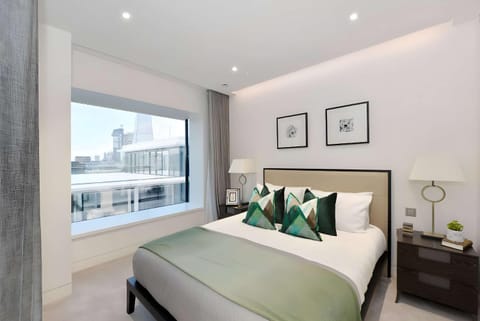 Exclusive Apartment with River & Shard View Apartment in London Borough of Southwark