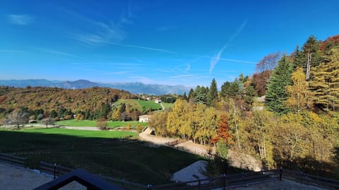 Garden, Mountain view