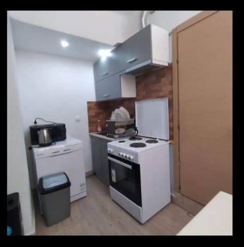 Kitchen or kitchenette, kitchen