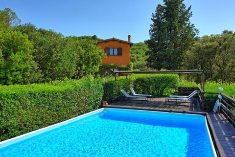 Garden, Pool view, Swimming pool, sunbed