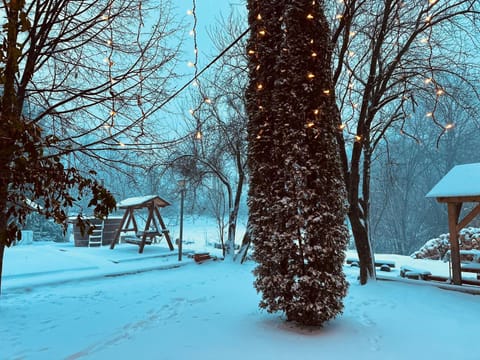 Day, Natural landscape, Winter