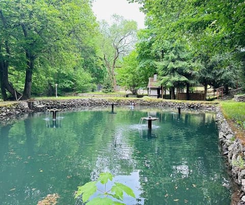 Natural landscape, Lake view