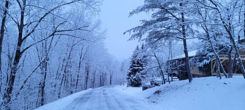 Lazy Basye Shenandoah Cabin with Hot Tub, Sleeps 10 Maison in Basye