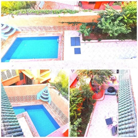 Garden, Swimming pool