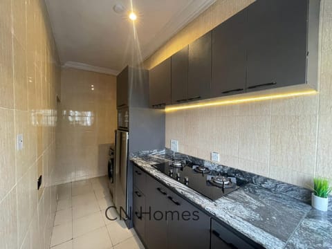 CN Homes Luxurious 2 Bedroom Apartment Apartment in Lagos