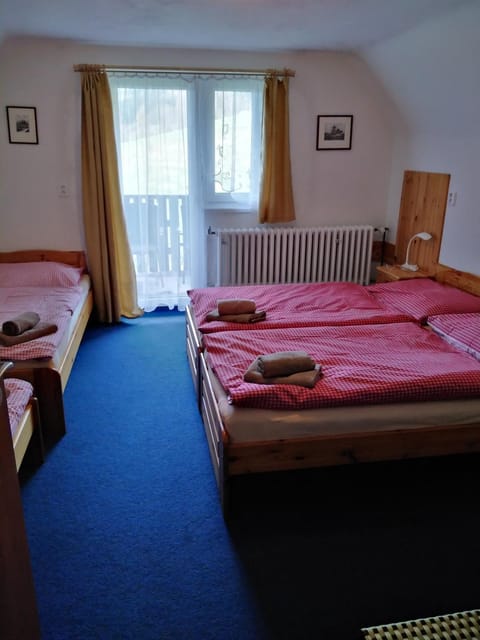Penzion Iris Krkonoše Bed and Breakfast in Lower Silesian Voivodeship