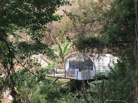 Property building, Natural landscape, Balcony/Terrace