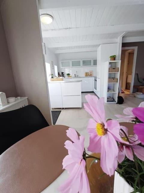 Unique and Charming 2 Bedroom Apartment with Free Parking Apartment in Aalborg