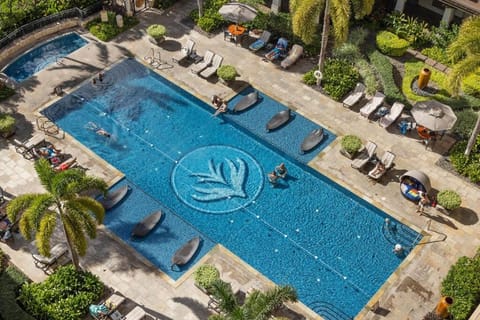 Bird's eye view, Garden, Garden view, Pool view, Swimming pool, sunbed