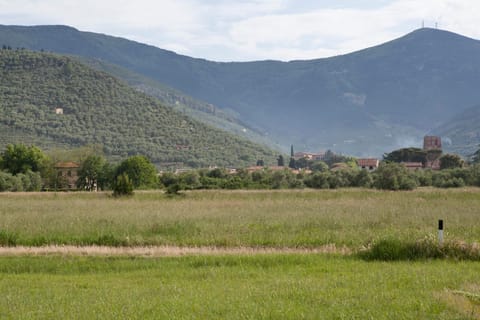 Agriturismo Villa Rosselmini Farm Stay in Tuscany