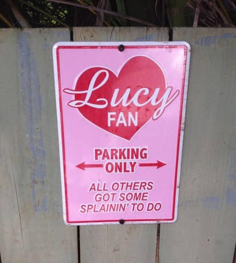 Lucy Fan Ohana Apartment in Maui