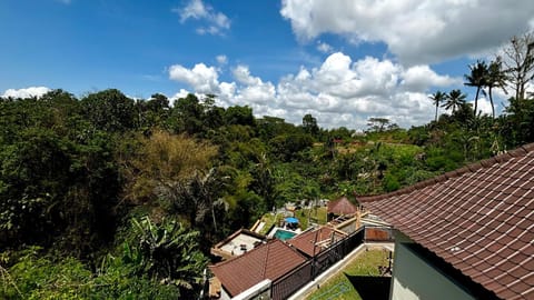 Day, Natural landscape, Bird's eye view