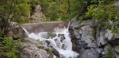 Nearby landmark, Natural landscape