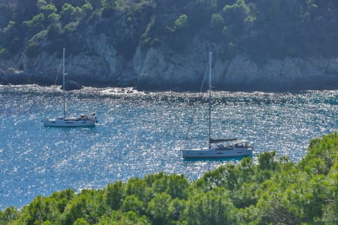 Natural landscape