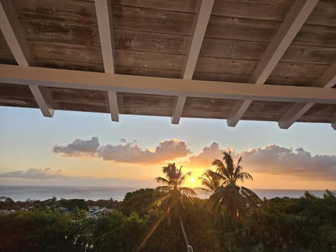 Purple Haze - Infinity Pool Holiday Home minutes from the Island's Best Beaches Villa in Saint James