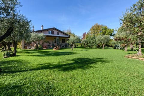 Property building, Garden view