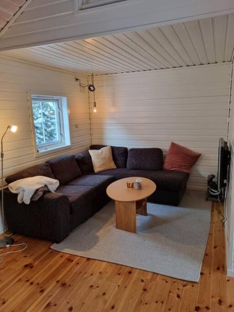 Koselig hytte sentralt på Norefjell, ski in & out Apartment in Viken, Norway