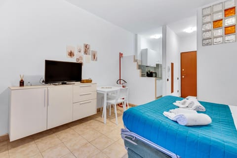 Bed, TV and multimedia, Kitchen or kitchenette, Photo of the whole room, towels