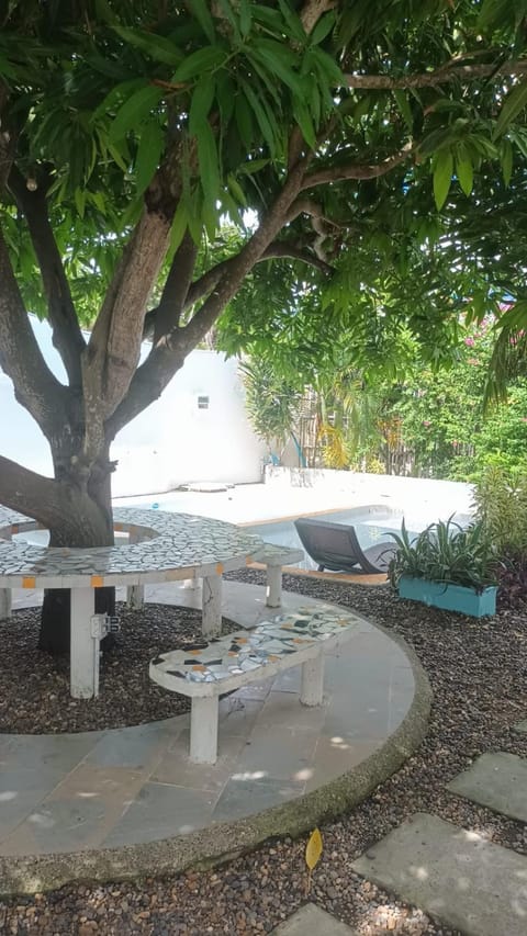 Spring, Day, Garden, Dining area, Garden view