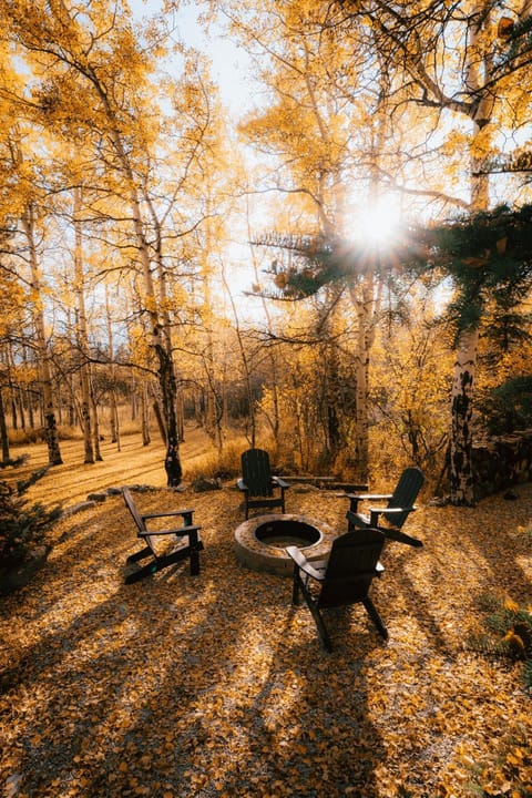 Cozy Cabin - Yellowstone Park, Henry's Lake Views Casa in Henrys Lake