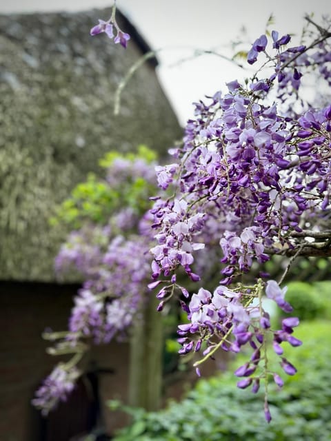 Property building, Garden, Garden