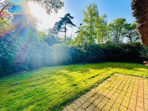 Garden, Garden, Balcony/Terrace, Garden view