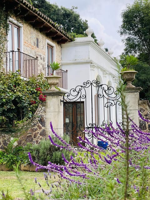 Property building, Garden, Garden view