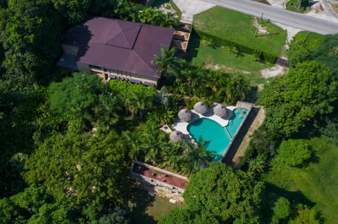 Natural landscape, Bird's eye view, Swimming pool, Swimming pool