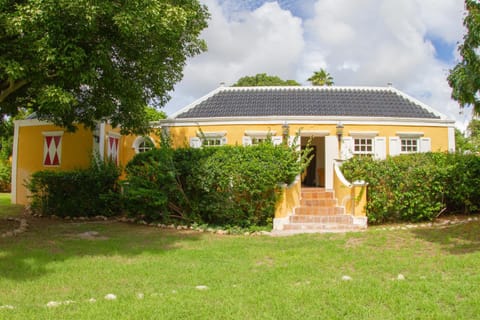 Property building, Garden view