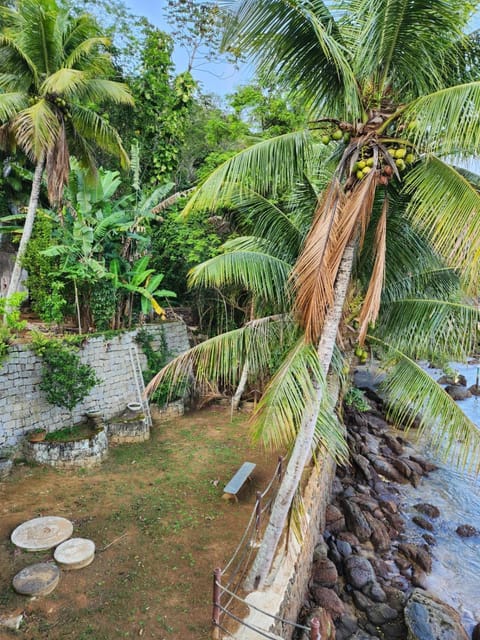 Garden, Garden view