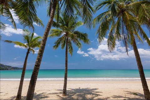 Nearby landmark, Day, Beach