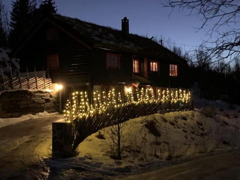 Property building, Night, Winter