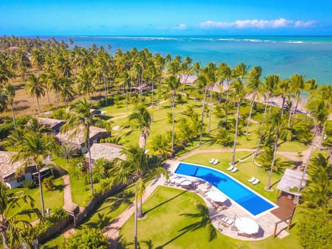 Bird's eye view, Beach, Pool view