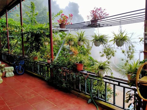 Balcony/Terrace, Garden view