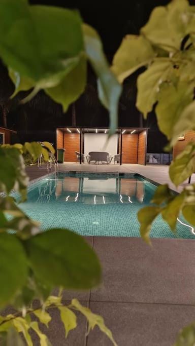 Night, Pool view, Swimming pool, sunbed