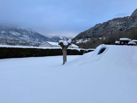 Winter, Garden