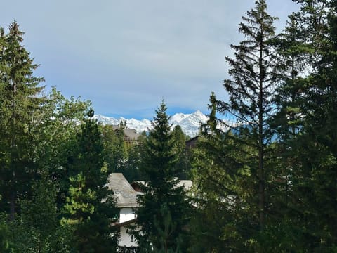 Balcony/Terrace, Mountain view