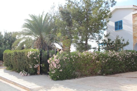 Olive Beach Villa Villa in Peyia