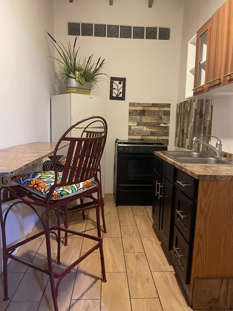 Kitchen or kitchenette, Dining area, oven