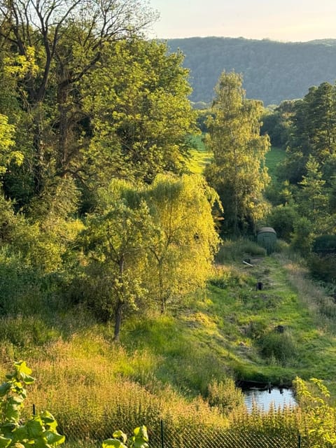 Day, Natural landscape, View (from property/room)