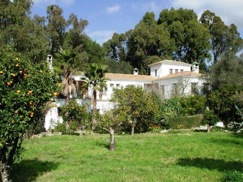 Finca San Ambrosio - Apartments in grüner Oase mit Terrasse, Pool, Heizung, WiFi Condo in La Janda